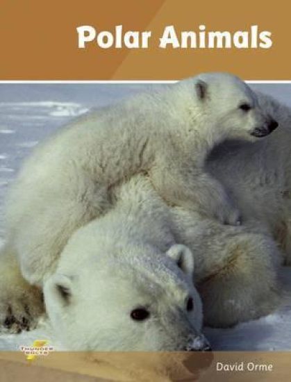 Polar Animals