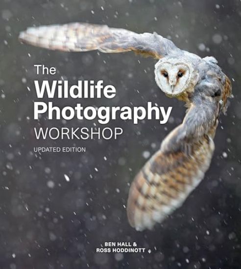 Kansikuva: Wildlife Photography Workshop, The