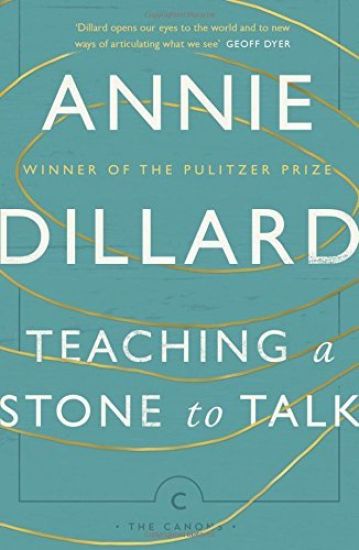 Teaching a Stone to Talk
