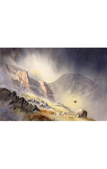 David Bellamy’s Complete Guide to Landscapes