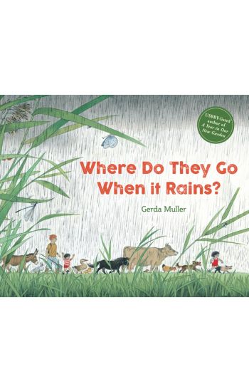 Where Do They Go When It Rains?