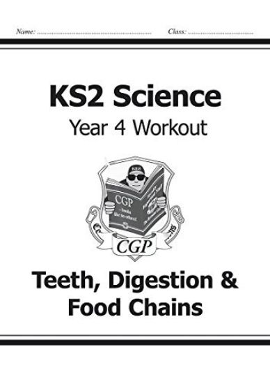 KS2 Science Year 4 Workout: Teeth, DigestionFood Chains