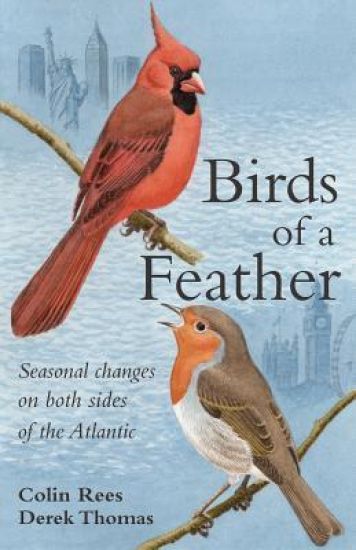 Birds of a Feather