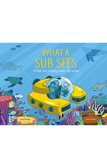 What a Submarine Sees