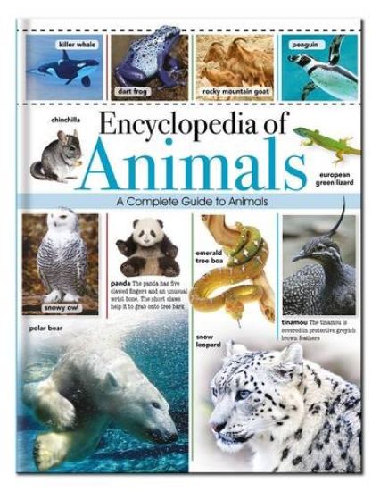 Kansikuva: Encyclopedia of Animals