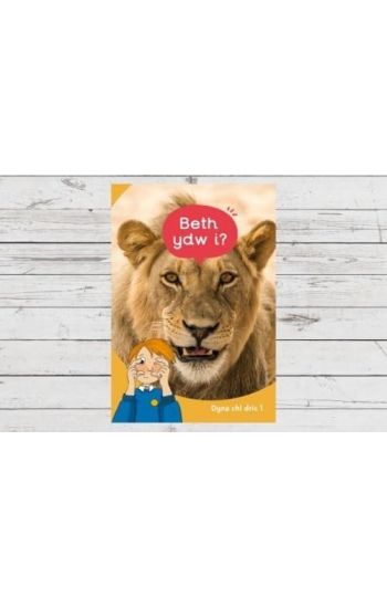 Dyna Chi Dric: Beth Ydw I?