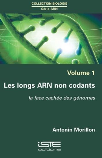 Longs Arn Non Codants, Les