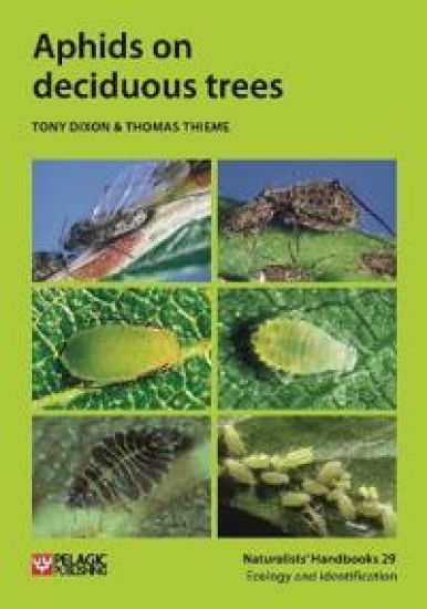 Aphids on deciduous trees