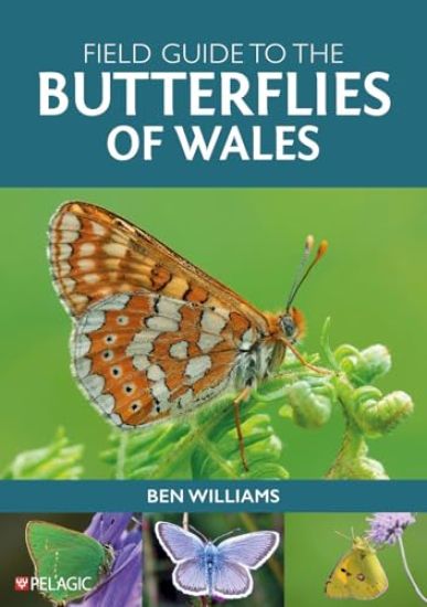Field Guide to the Butterflies of Wales