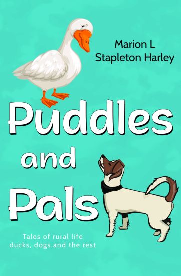 Puddles and Pals