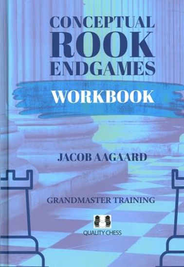 Conceptual Rook Endgames Workbook