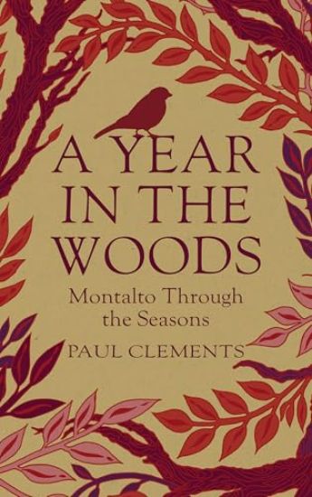 A Year In the Woods