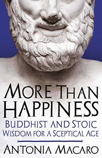 More Than Happiness
