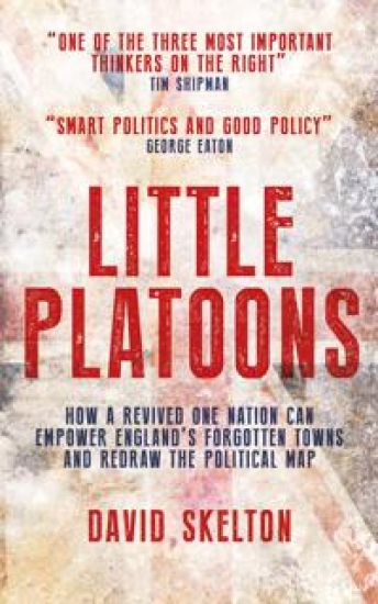 Little Platoons