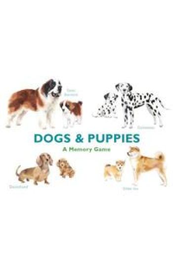 Dogs & Puppies