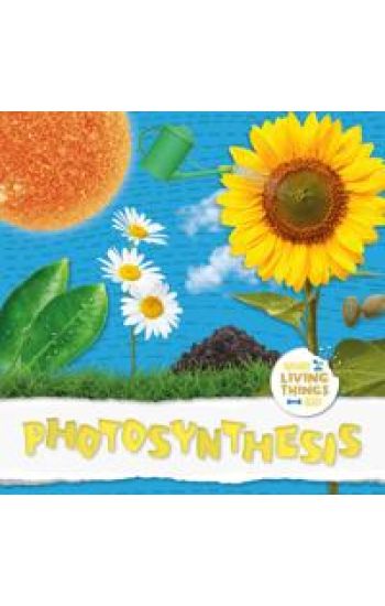 Photosynthesis
