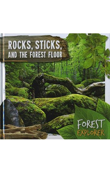 Rocks, Sticksthe Forest Floor