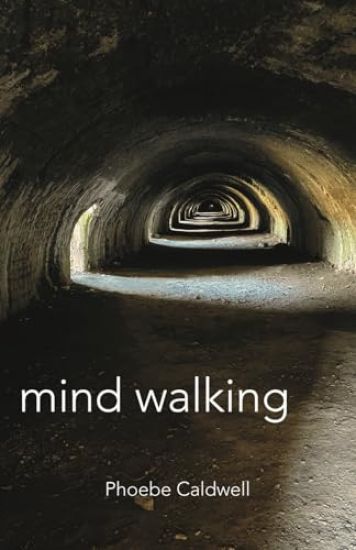 Mind Walking