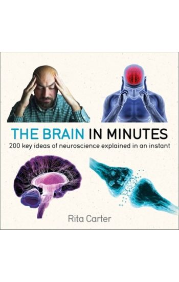 The Brain in Minutes