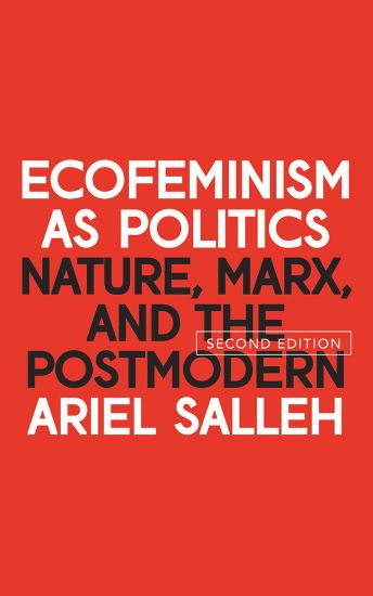 Ecofeminism as Politics