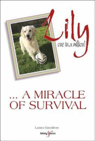 Lily: One in a Million