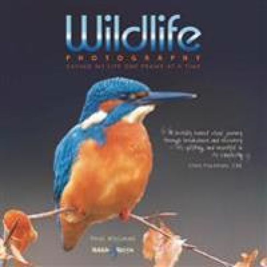 Wildlife Photography