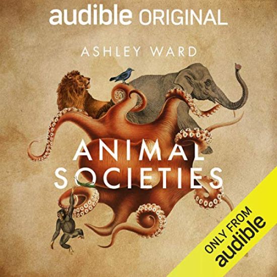 Social Lives of Animals