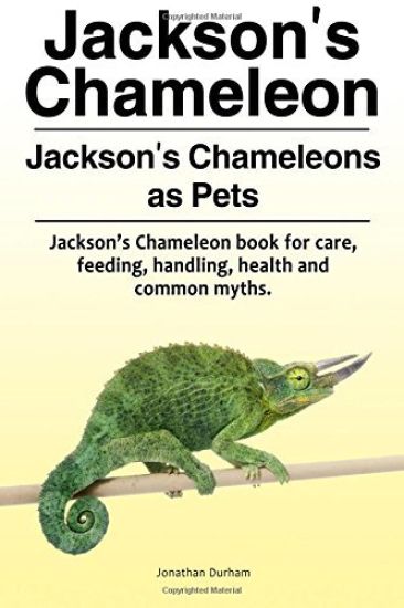 Jackson's Chameleon. Jackson's Chameleons as Pets. Jackson's Chameleon book for care, feeding, handling, health and common myths.
