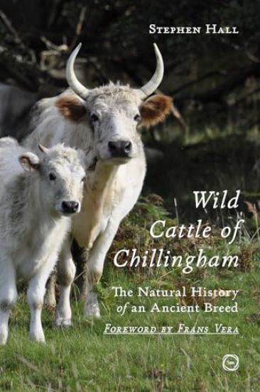 Wild Cattle of Chillingham