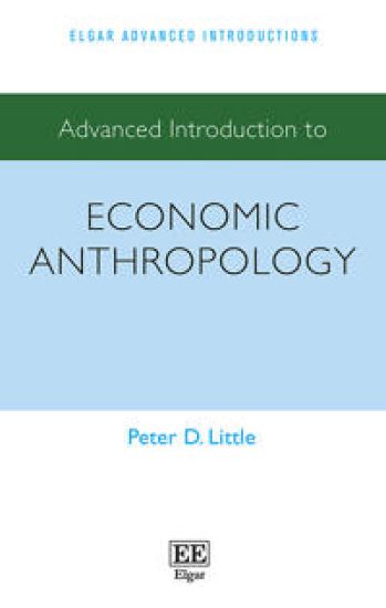 Advanced Introduction to Economic Anthropology