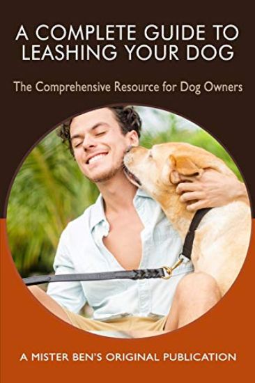A Complete Guide to Leashing Your Dog: The Comprehensive Resource for Dog Owners