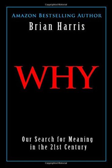 Why: Our Search for Meaning in the 21st Century