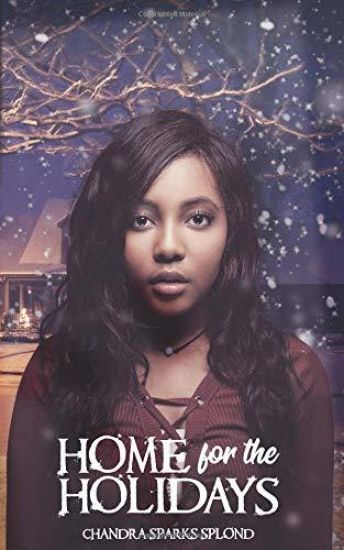 Home for the Holidays: A Christmas Short Story