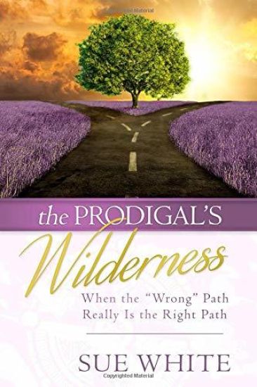 The Prodigal's Wilderness: When the Wrong Path Really Is the Right Path