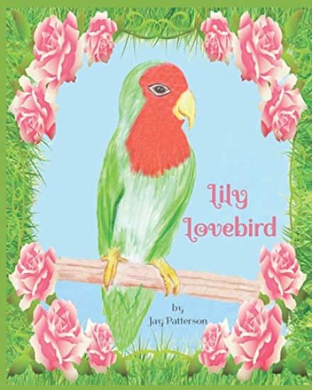 Lily Lovebird by Jay Patterson: Charming picture book story which follows Lily, a lonely little lovebird who finds a friend and then discovers the hap