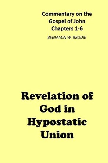 Revelation of God in Hypostatic Union: Commentary on the Gospel of John - Chapters 1-6