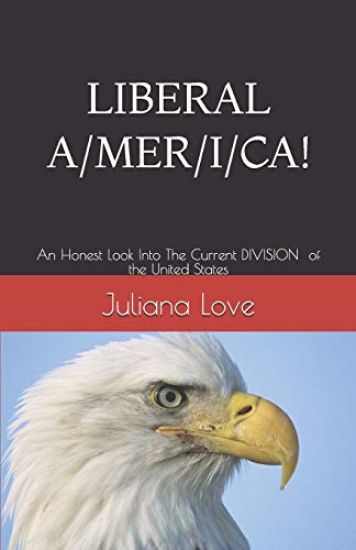 Liberal A/ M E R /I /C A!!!: An Honest Look Into The Current Division of the United States