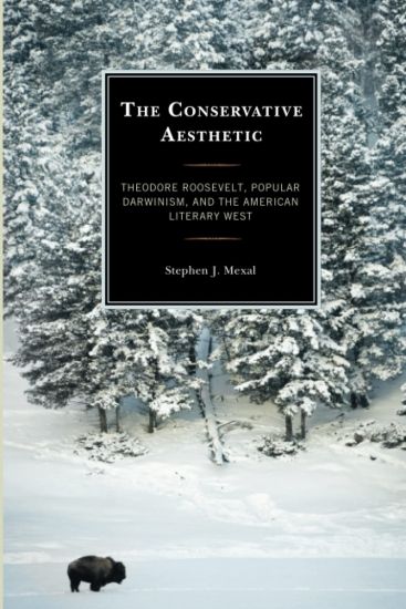 The Conservative Aesthetic