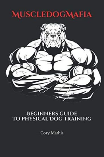MuscleDogMafia: Beginners guide to physical Dog training