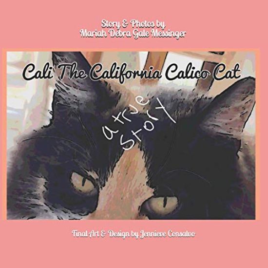 Cali the California Calico Cat