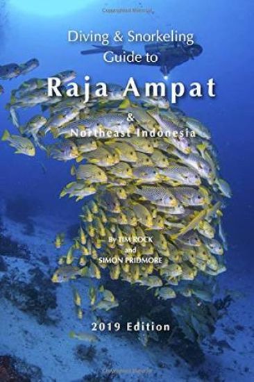 DivingSnorkeling Guide to Raja AmpatNortheast Indonesia