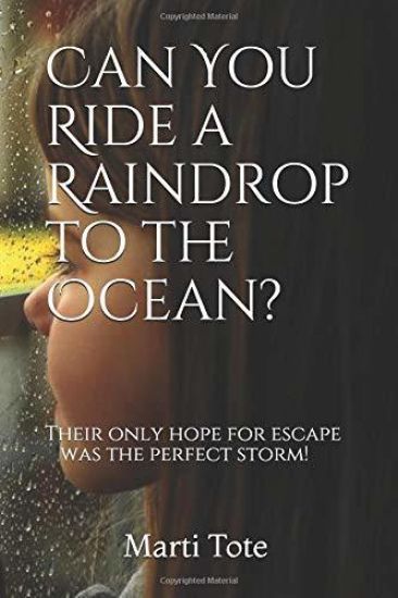 Can You Ride a Raindrop to the Ocean?