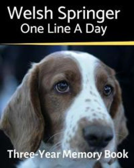 Welsh Springer - One Line a Day