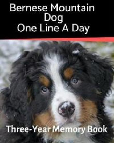Bernese Mountain Dog - One Line a Day