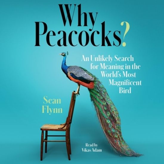 Why Peacocks?: An Unlikely Search for Meaning in the World's Most Magnificent Bird