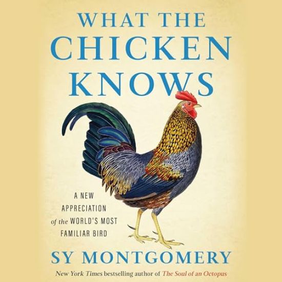 What the Chicken Knows: A New Appreciation of the World's Most Familiar Bird