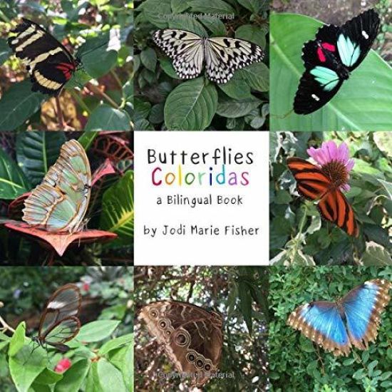 Butterflies Coloridas