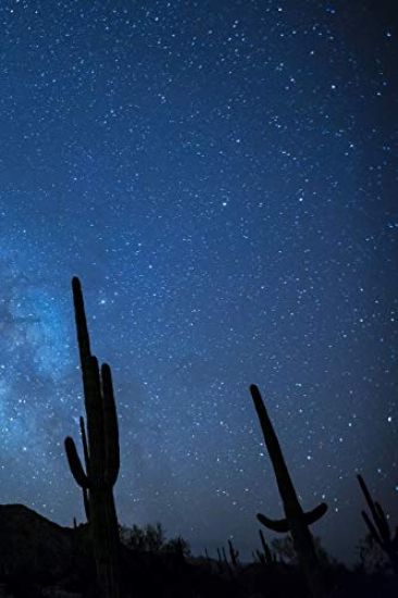 Milky Way with Cactus: The Milky Way Is the Galaxy That Contains Our Solar System. the Name Describes the Appearance from Earth: A Hazy Band