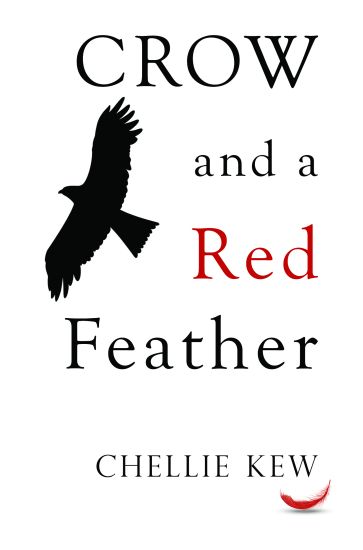 Crow and a Red Feather