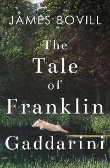 The Tale of Franklin Gaddarini